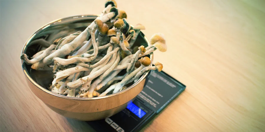 Weighing Magic Mushrooms