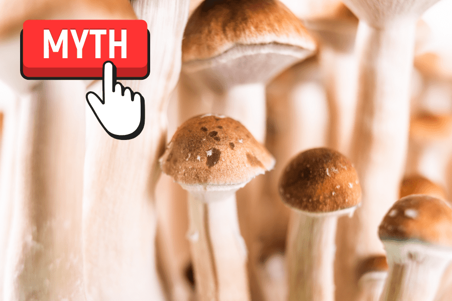 7 Myths About Microdosing