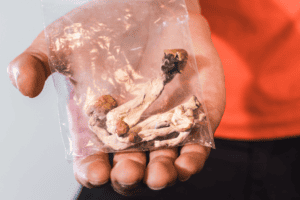 How Long Do the Effects of Magic Mushrooms Last?