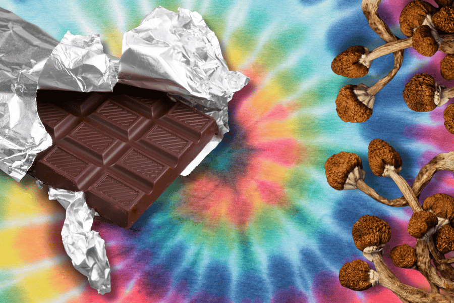 All You Need To Know About Mushroom Chocolate