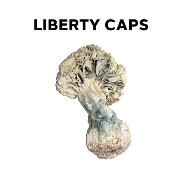 Liberty Caps