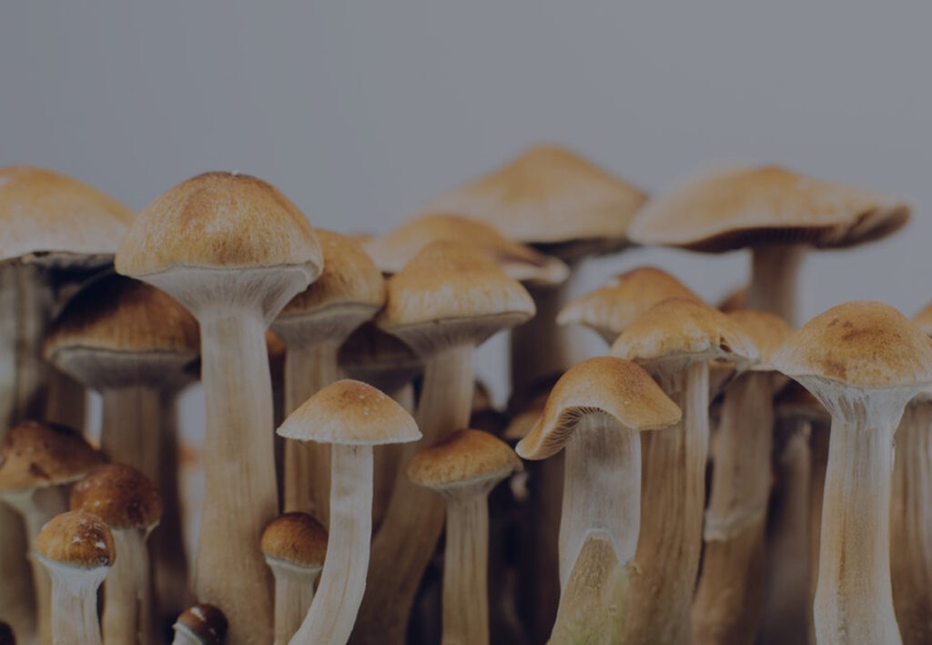 What Should I Know Before Trying Psilocybin?