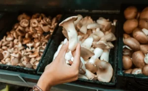 What Should I Do If I Feel Overwhelmed During the Psilocybin Experience?