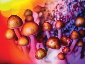 Can I Mix Magic Mushrooms with Other Substances?