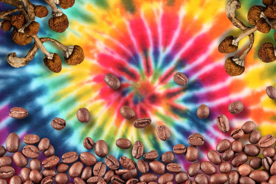 Magic Mushroom Coffee: How to Brew + 3 Great Recipes Magic Mushroom Coffee: How to Brew + 3 Great Recipes