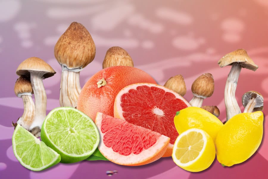 Ultimate Guide to Lemon Tek Ultimate Guide to Lemon Tek