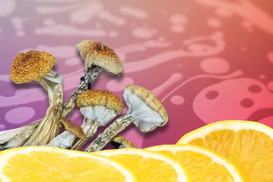 Ultimate Guide to Lemon Tek