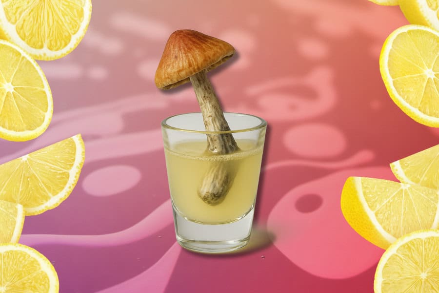 Ultimate Guide to Lemon Tek Ultimate Guide to Lemon Tek