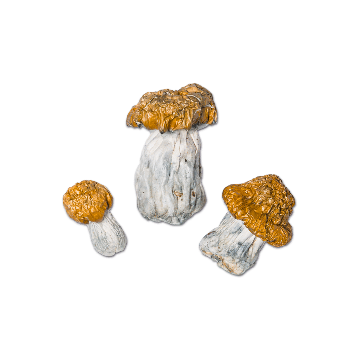 Avalanche Magic Mushroom