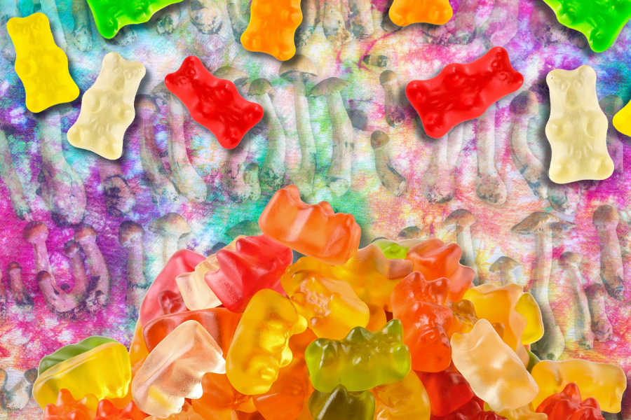 How to Make Magic Mushroom Gummies at Home How to Make Magic Mushroom Gummies at Home