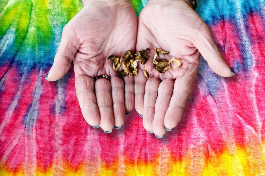 How To Make Microdosing Capsules at Home How To Make Microdosing Capsules at Home
