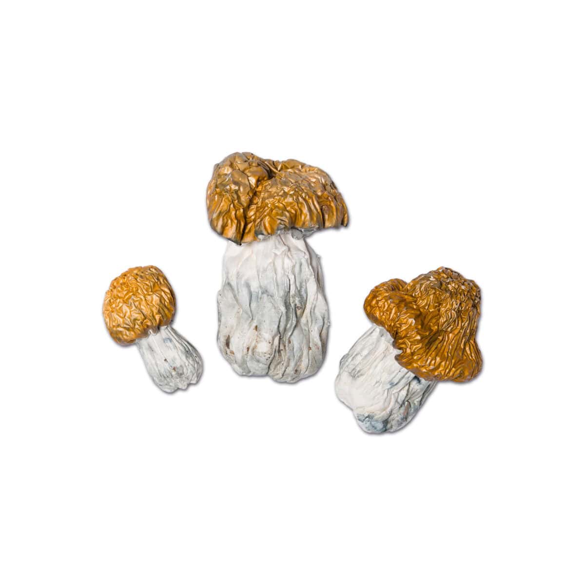 Avalanche Magic Mushroom - Image 1