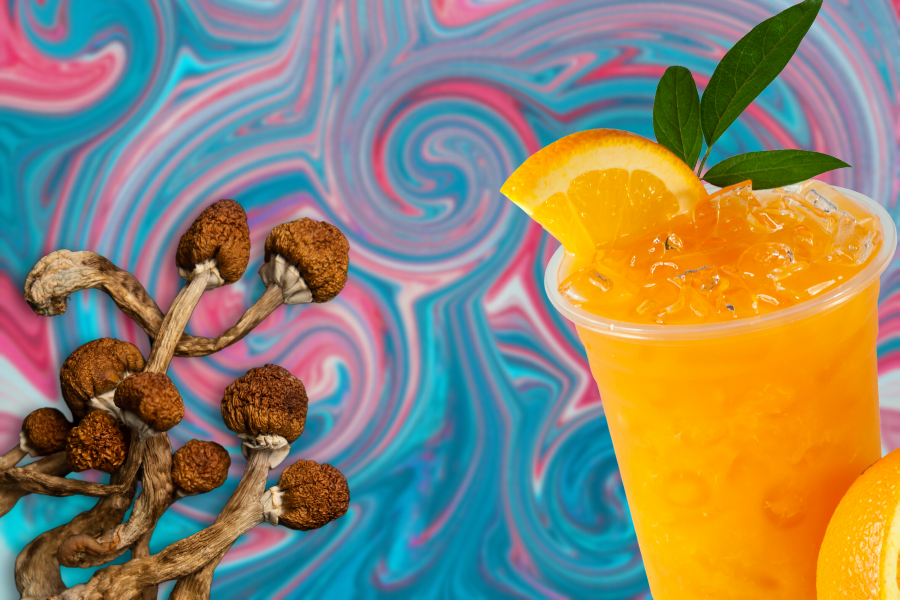 Magic Mushrooms and Orange Juice: Myth or Fact Magic Mushrooms and Orange Juice: Myth or Fact